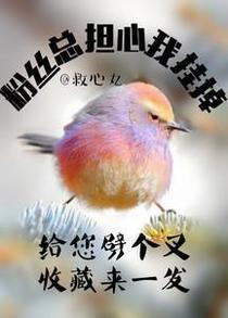 粉丝总担心我挂掉[娱乐圈]