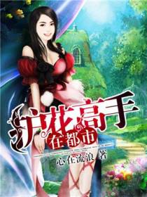 护花高手在都市夏天乔小乔