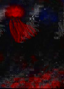 风水秘记