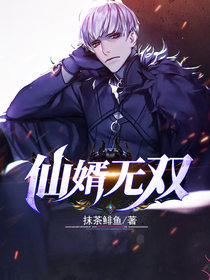 仙婿无双陈望北