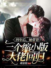 三个缩小版的大佬回归小说顾婷傅修