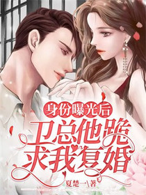 身份曝光后,卫总他跪求我复婚