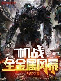 机战：全金属风暴罗阎