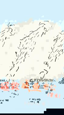 极品龙尊