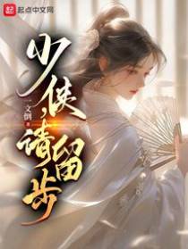 少侠,请留步