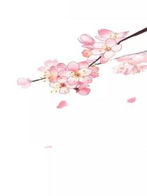 封鸾星运