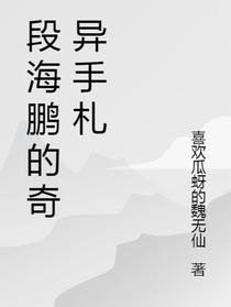 段海鹏的奇异手札