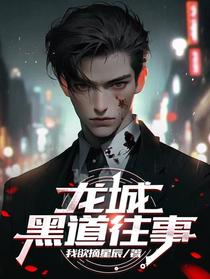 龙城黑道往事