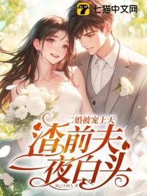 二婚被宠上天，渣前夫一夜白头
