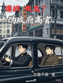 谍战，我成了伪政府高官