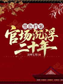 黑色档案，官场沉浮二十年