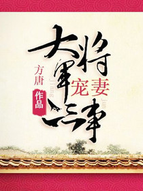 大将军宠妻二三事
