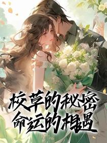 校草的秘密：命运的相遇