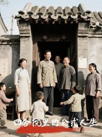 四合院里的公式人生