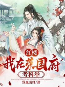 【红楼】我在荣国府考科举